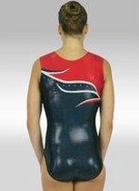 TT-Gymnastics Gymnastiek Turnen Turnpakje v598