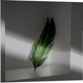 Acrylglas - Groene Veer - 80x80cm Foto op Acrylglas (Wanddecoratie op Acrylglas)