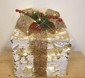 Kerst cadeau box XL goud met timer en 40 led lampjes