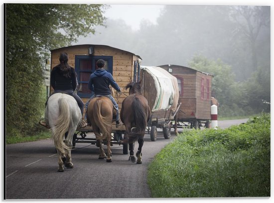 Dibond - Paarden en Karren - 40x30cm Foto op Aluminium (Met Ophangsysteem)