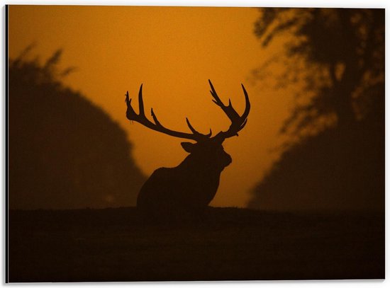 Dibond - Silhouet Hert bij Bomen - 40x30cm Foto op Aluminium (Met Ophangsysteem)