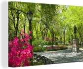 Canvas Schilderij New York - Central Park - Planten - 90x60 cm - Wanddecoratie