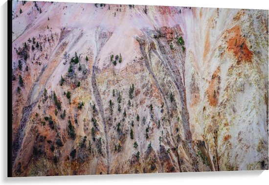 Canvas  - Bomen op Zijkant van Berg - 120x80cm Foto op Canvas Schilderij (Wanddecoratie op Canvas)