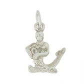 Blinx Jewels Zilveren Hanger Horoscoop Waterman