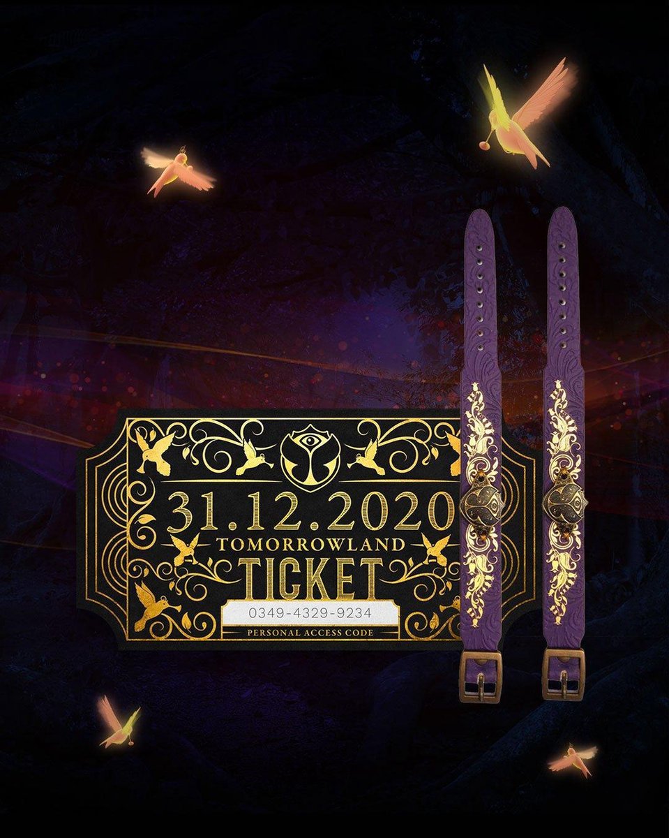 Tomorrowland 31 12 2020 Ticket Armbandjes bol