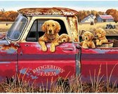 Painting Expert® Schilderen op nummer Volwassenen - Schilderen op nummer Kinderen - Honden in Rode Auto - 40x50cm - Exclusief Lijst (24 kleurtjes)
