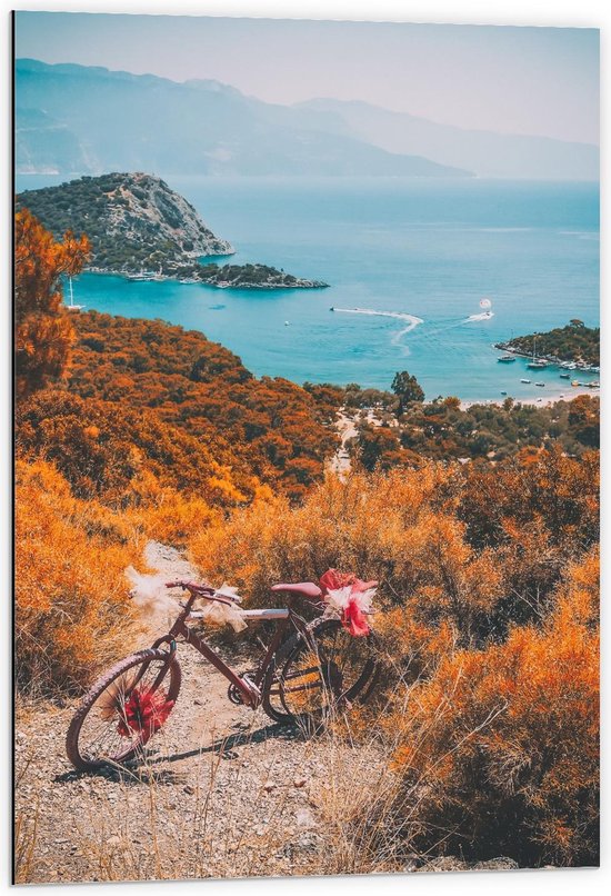 Dibond - Fiets bij Bergen en Zee - 60x90cm Foto op Aluminium (Wanddecoratie van metaal)