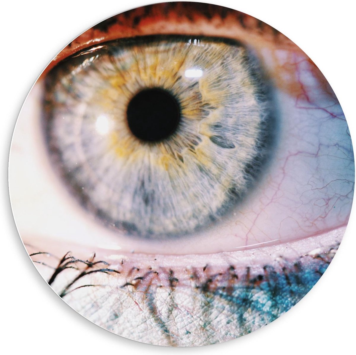 Forex Wandcirkel - Close up Blauw Oog - 80x80cm Foto op Wandcirkel (met ophangsysteem)