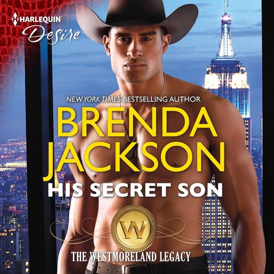 His Secret Son - cover