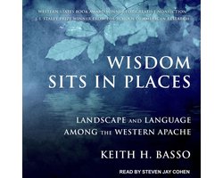 Omslag van Wisdom Sits in Places