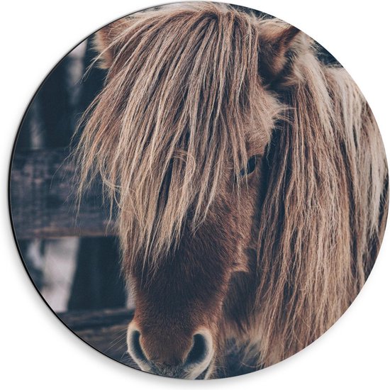 Dibond Wandcirkel - Pony in de Winter - 30x30cm Foto op Aluminium Wandcirkel (met ophangsysteem)