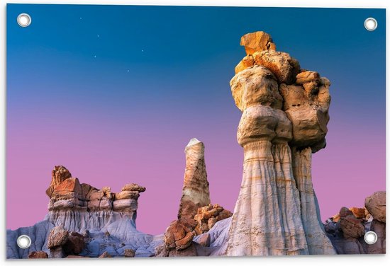 Tuinposter – Bisti/De-Na-Zin Wilderness - New Mexico - 60x40cm Foto op Tuinposter  (wanddecoratie voor buiten en binnen)