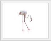 Foto in frame Flamingo, 3 maten, roze/wit, Premium print