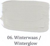 Wallprimer 2,5 ltr op kleur06- Winterwaas
