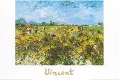 Vincent Van Gogh - The Green Vineyard Kunstdruk 70x50cm