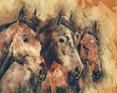 Diamond painting volwassenen - Drie getekende paarden 50x40cm - Ronde steentjes - Volledig pakket