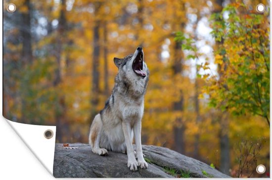 Tuinposter 60x40 cm - Tuindecoratie Wolf - Steen - Bos - Herfst - Poster voor in de tuin - Buiten decoratie - Schutting tuinschilderij - Tuindoek muurdecoratie - Wanddecoratie balkondoek