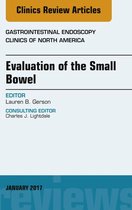 The Clinics: Internal Medicine Volume 27-1 - Evaluation of the Small Bowel, An Issue of Gastrointestinal Endoscopy Clinics