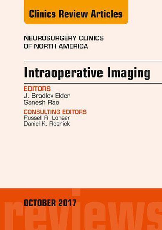 The Clinics: Surgery Volume 28-4 - Intraoperative Imaging, A ... - cover