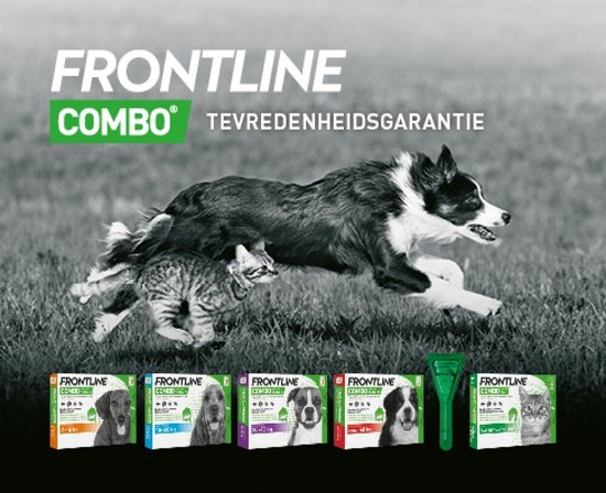 Frontline Combo - Anti vlooienmiddel en tekenmiddel - 2 Tot 10 - Hond - 6 pipetten |
