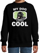 Newfoundlander honden trui / sweater my dog is serious cool zwart - kinderen - Newfoundlanders liefhebber cadeau sweaters 3-4 jaar (98/104)