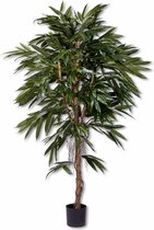 Kunstplant Longifolia XL 180 cm