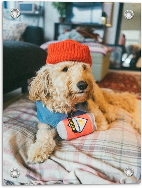 Tuinposter - Hond met Muts en Outfit - Foto op Tuinposter (wanddecoratie voor buiten en binnen)