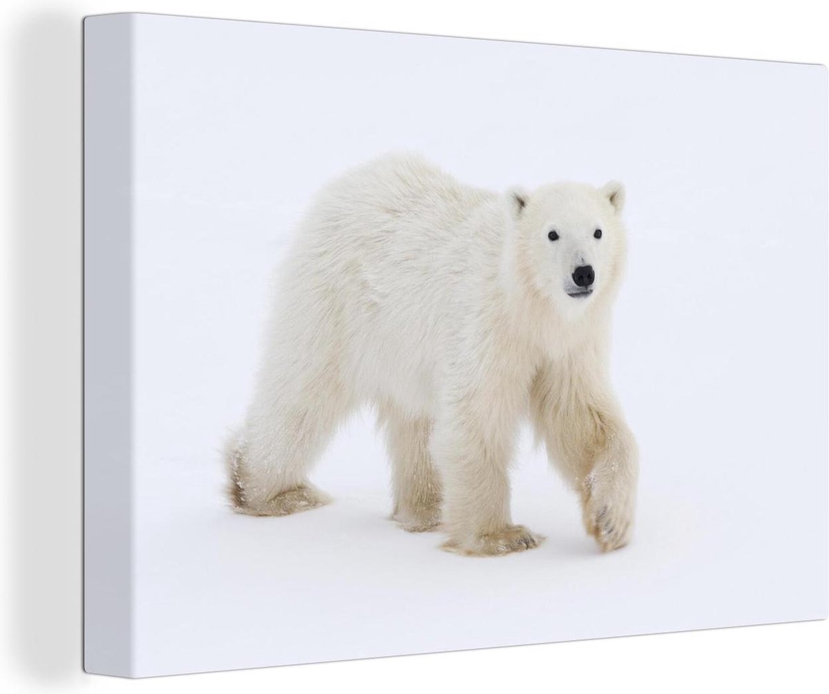 Ours 22 » avec peinture forestière et découpe d'impression de pattes