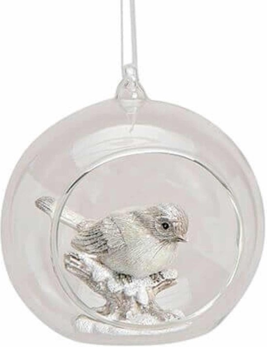 verwarring intellectueel plaag Glazen transparante kerstballen met vogel 9 cm - Kerstboomversiering -  doorzichtige... | bol.com