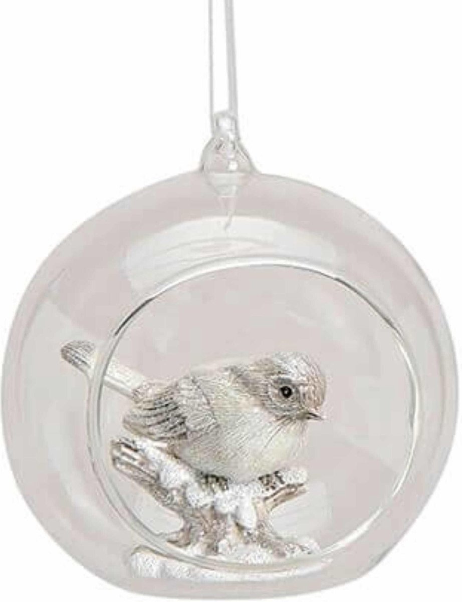 Transparante Glazen Kerstballen 2025 Ray Caitrin