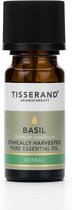Tisserand Basil (basil) Ocimum Basilicum Ethically Harvested 9ml