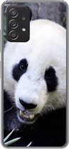 Geschikt voor Samsung Galaxy A53 5G hoesje - Panda - Dier - Bladeren - Siliconen Telefoonhoesje