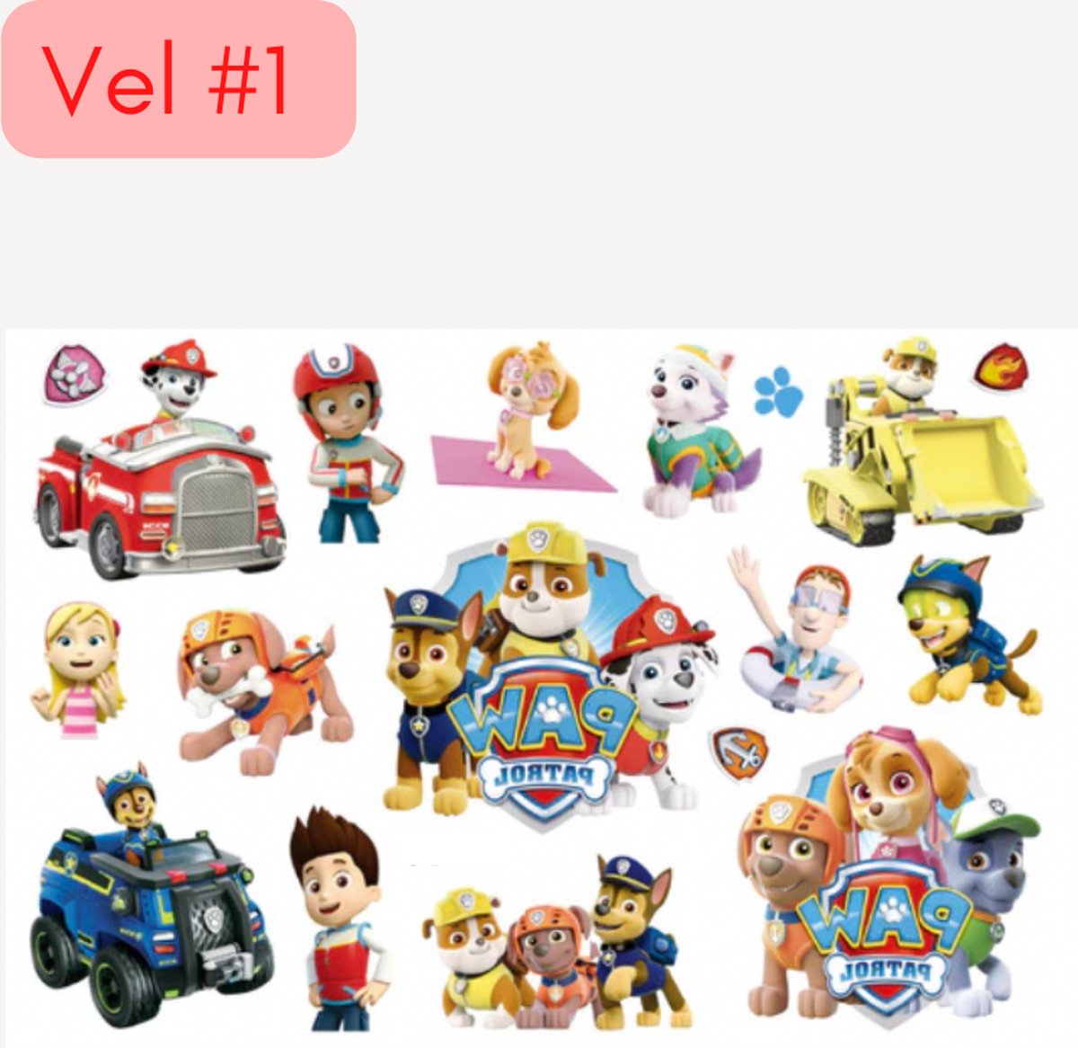 Paw Patrol Tattoos Kinderen Plaktattoos Plak Tattoos Plak