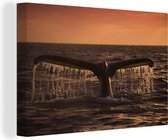 Canvas Schilderij Walvisstaart bij zonsondergang - 30x20 cm - Wanddecoratie