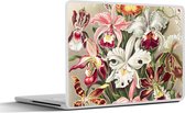 Laptop sticker - 11.6 inch - Bloemen - Ernst Haeckel - Vintage - Orchidee - 30x21cm - Laptopstickers - Laptop skin - Cover