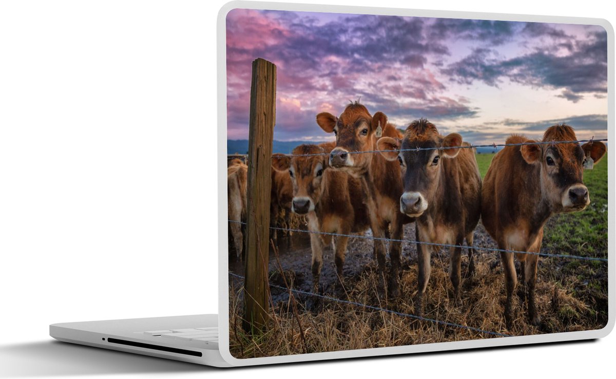 Laptop sticker - 10.1 inch - Koe - Dieren - Koeien - 25x18cm - Laptopstickers - Laptop skin - Cover