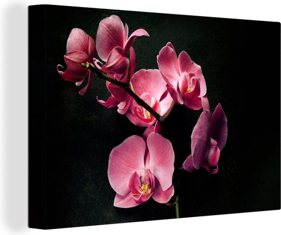 Canvas Schilderij Planten - Orchidee - Bloemen - Roze - 90x60 cm - Wanddecoratie