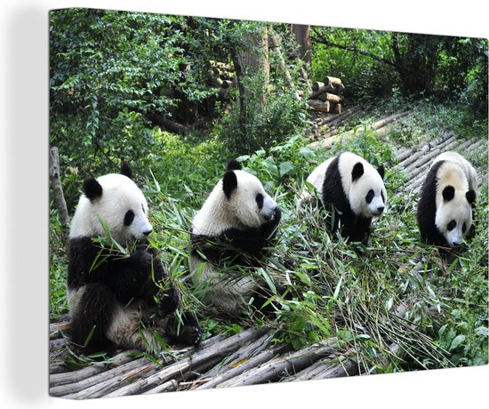 Canvas Schilderij Panda - Natuur - Bamboe - 30x20 cm - Wanddecoratie