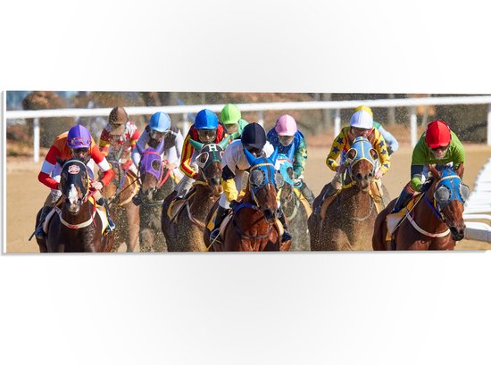 WallClassics - PVC Schuimplaat- Paarden Race - 60x20 cm Foto op PVC Schuimplaat