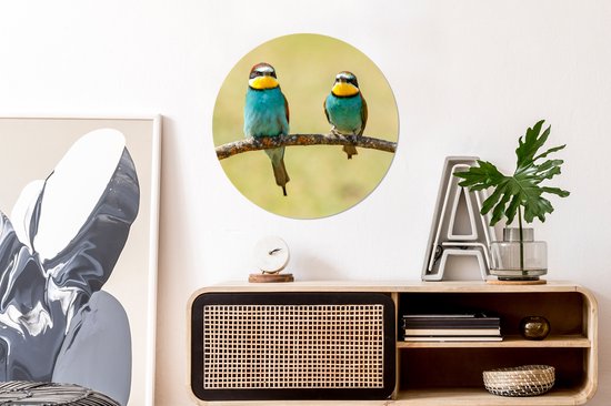 WallCircle - Cercle Mural - Cercle Mural - Vogels - Animaux - Guêpier - Aluminium - Dibond - 60x60 cm - Intérieur et Extérieur