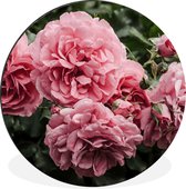 WallCircle - Wandcirkel - Muurcirkel - Roze - Bloemen - Rozen - Aluminium - Dibond - ⌀ 140 cm - Binnen en Buiten