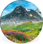 WallCircle - Wandcirkel - Muurcirkel - Bloemen - Berg - Sneeuw - Landschap - Aluminium - Dibond - ⌀ 140 cm - Binnen en Buiten