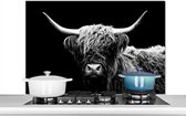 Spatscherm - Schotse Hooglander - Koe - Zwart - Spatscherm keuken - Keuken achterwand - 100x65 cm - Kookplaat achterwand - Spatwand - Muurbeschermer