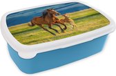 Broodtrommel Blauw - Lunchbox - Brooddoos - Paarden - Gras - Dieren - Landschap - Natuur - 18x12x6 cm - Kinderen - Jongen