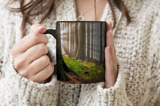 Mug Magique - Photo sur Mugs Chauffants - Tasse à Café - Soleil - Branches - Arbres - Forêt - Nature - Mug Magic - Tasse - 350 ML - Tasse à Thé