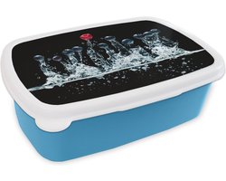 Broodtrommel Blauw - Lunchbox - Brooddoos - Bessen - Water - Zwart - Fruit - Framboos - 18x12x6 cm - Kinderen - Jongen
