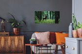 Stickers muraux - Film autocollant - Cerfs - Forêt - Arbres - Animaux - Nature - 80x40 cm - Film adhésif - Stickers muraux chambre d'enfant - Papier peint autocollant