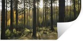 Stickers Stickers muraux - Forêt - Été - Soleil - 160x80 cm - Film adhésif
