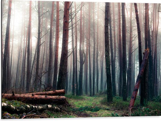 WallClassics - Dibond - Omgevallen Bomen in het Bos - 80x60 cm Foto op Aluminium (Met Ophangsysteem)