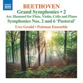 Pettman Ensemble, Uwe Grodd - Beethoven: Symphonies Nos. 2 And 6 (CD)